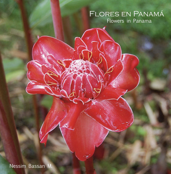 Flores en Panama