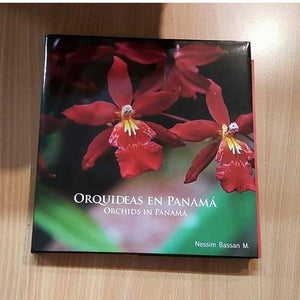 Oriquídeas en Panamá