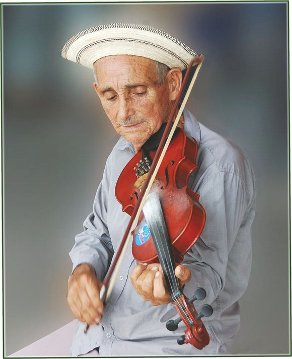 Violinist Photo